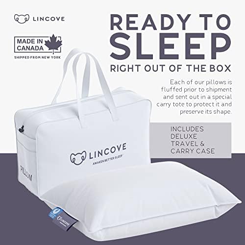 Lincove Canadian Down Feather Travel Pillow - Plush Luxury Pillows to Support Head, Neck, While Sleeping on Airplanes, Cars, Camping, Hotels & Home - Comfortable Vacation Sleeping Essential, 13"x18" - Image 5