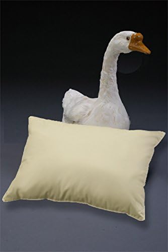 All About Down Organic Travel Pillow with 800 Fill Power European Ethically Raised Goose Down, Hypoallergenic, 100% Organic Cotton Finished in Austria, US Made and Family Owned Since 1974 - Image 2